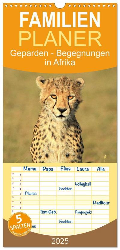 Familienplaner 2025 - Geparden - Begegnungen in Afrika mit 5 Spalten (Wandkalender, 21 x 45 cm) CALVENDO