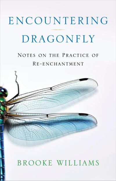 Williams, B: Encountering Dragonfly