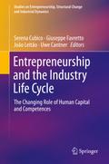 Entrepreneurship and the Industry Life Cycle