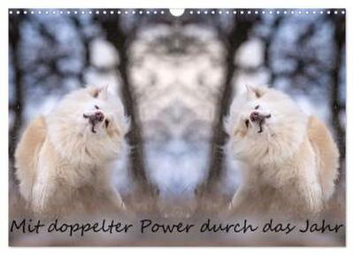 Mit doppelter Power durch das Jahr (Wandkalender 2026 DIN A3 quer), CALVENDO Monatskalender