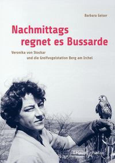 Nachmittags regnet es Bussarde