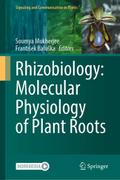 Rhizobiology: Molecular Physiology of Plant Roots