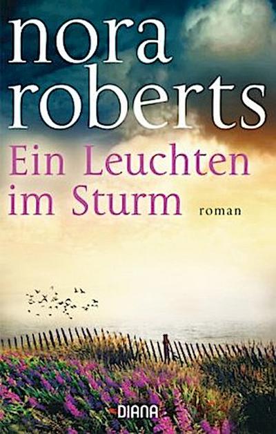 Ein Leuchten im Sturm