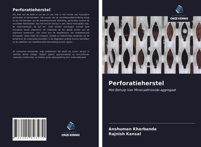 Perforatieherstel