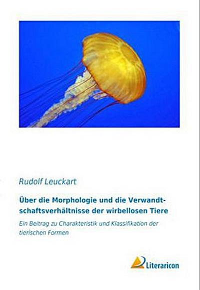 Über die Morphologie und die Verwandtschaftsverhältnisse der wirbellosen Tiere