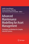 Advanced Maintenance Modelling for Asset Management