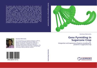 Gene Pyrmiding in Sugarcane Crop
