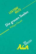 Die grauen Seelen von Philippe Claudel (Lektürhilfe)