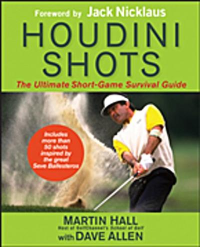 Houdini Shots
