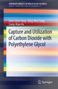 Capture and Utilization of Carbon Dioxide with Pol