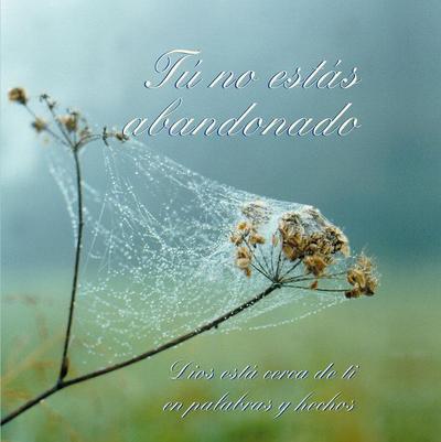 TU NO ESTAS ABANDONADO