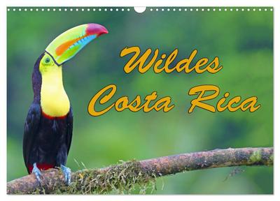 Wildes Costa Rica (Wandkalender 2026 DIN A3 quer), CALVENDO Monatskalender