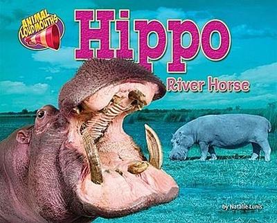 Hippo