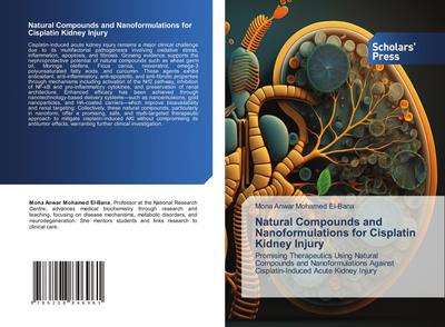 Natural Compounds and Nanoformulations for Cisplatin Kidney Injury
