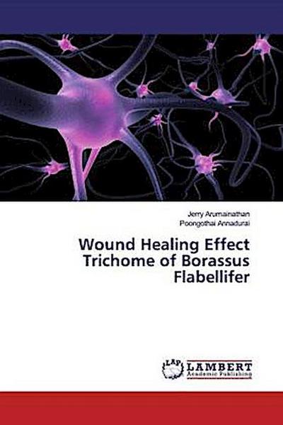 Wound Healing Effect Trichome of Borassus Flabellifer