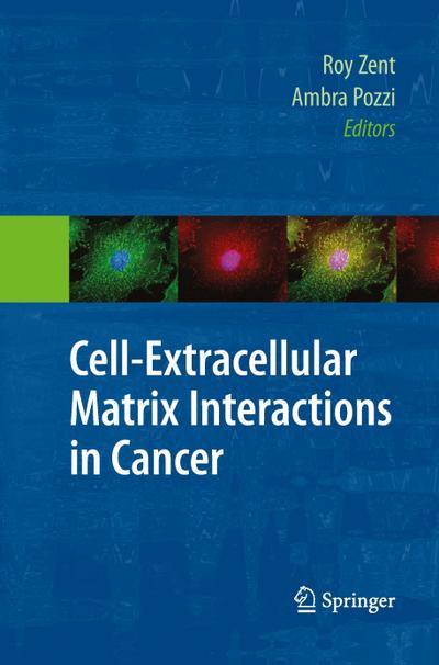 Cell-Extracellular Matrix Interactions in Cancer