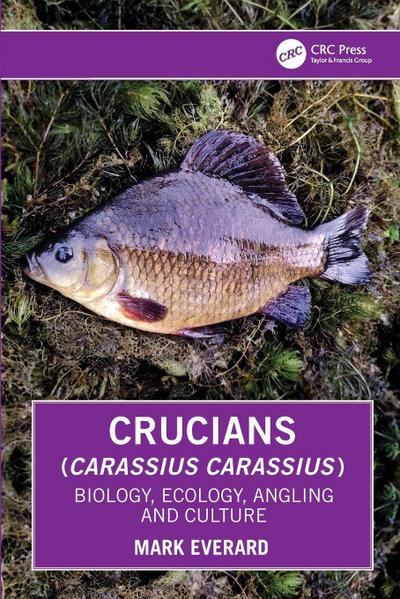 Crucians (Carassius carassius)