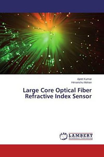 Large Core Optical Fiber Refractive Index Sensor