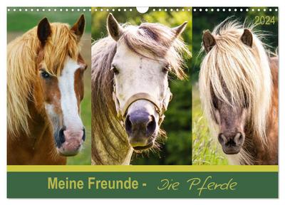 Meine Freunde - die Pferde (Wandkalender 2024 DIN A3 quer), CALVENDO Monatskalender