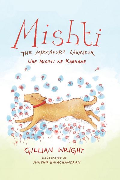 Mishti, the Mirzapuri Labrador