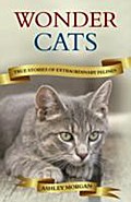 Wonder Cats: True Tales of Extraordinary Felines