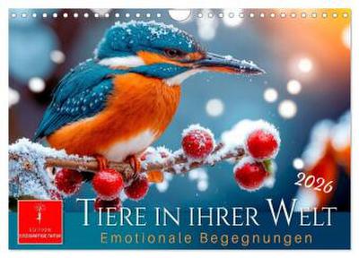 Tiere in ihrer Welt (Wandkalender 2026 DIN A4 quer), CALVENDO Monatskalender