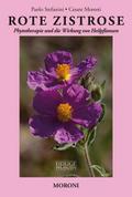 Rote Zistrose