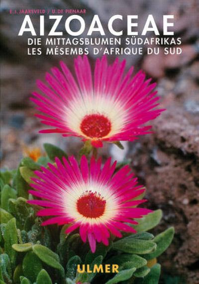 Aizoaceae 