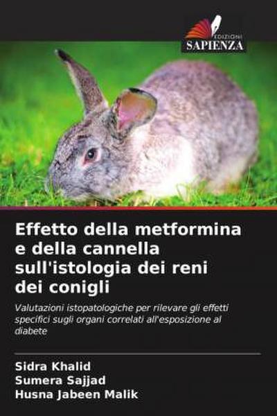 Effetto della metformina e della cannella sull’istologia dei reni dei conigli