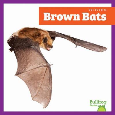 Brown Bats