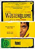 Wüstenblume
