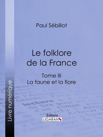 Le Folk-Lore de la France