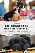 Die süßesten Welpen der Welt