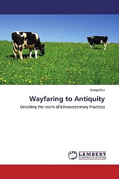 Wayfaring to Antiquity