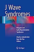 J Wave Syndromes