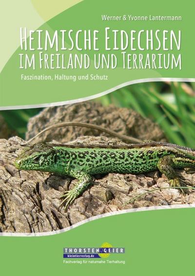 Heimische Eidechsen im Freiland und Terrarium