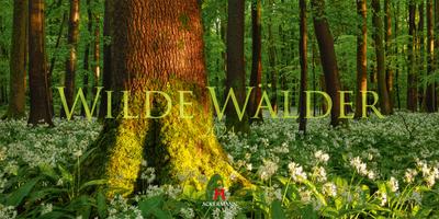 Wilde Wälder Kalender 2024