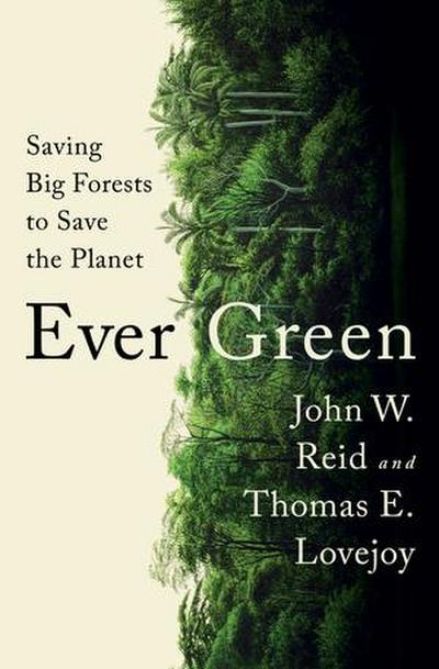 Ever Green - Saving Big Forests to Save the Planet
