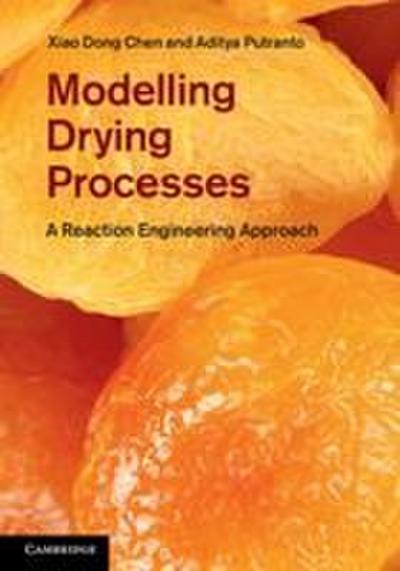 Modeling Drying Processes