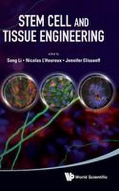 STEM CELL AND TISSUE ENGINEERING