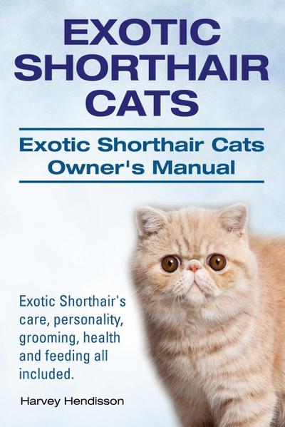 EXOTIC SHORTHAIR CATS EXOTIC S