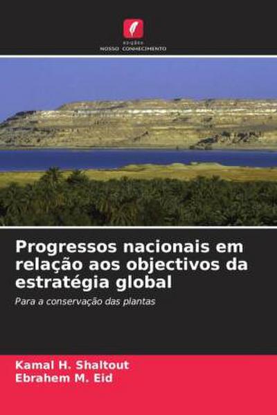 Progressos nacionais em relação aos objectivos da estratégia global