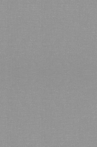 Enemy of the Disaster