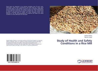 Study of Health and Safety Conditions in a Rice Mill