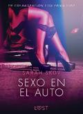 Sexo en el auto - Literatura erótica