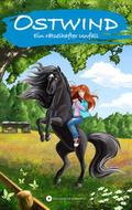 Ostwind - Ein rätselhafter Unfall (TB)