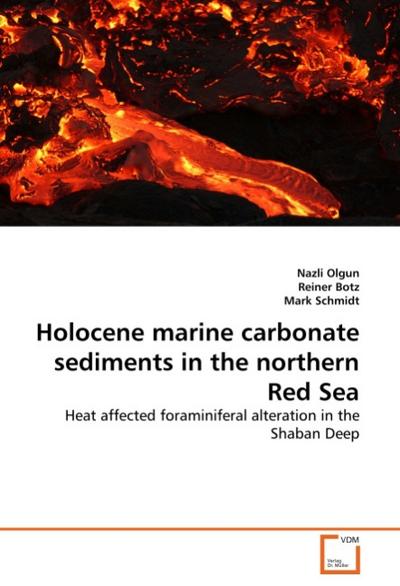Holocene marine carbonate sediments in the northern Red Sea