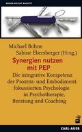 Synergien nutzen mit PEP