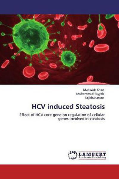 HCV induced Steatosis