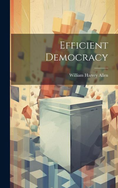 Efficient Democracy